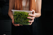 © dikushin - Professional female chef holding transparent container filled with crisp green lettuce, preparing ingredients in kitchen workspace, close-up. Concept of healthy sustainable cultivation.