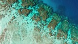 Aerial View of Ocean Reef Mosaic Cyan Turquoise