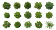 © Lang - Collection of Beautiful 3D Top view Green Trees Isolated on PNGs transparent background , Use for visualization in architectural design or garden decorate 62565834 1
