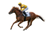 Chestnut racehorse jockey galloping fast equestrian sport horse racing number one isolated on transparent background