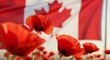 © Dian - Poignant remembrance day imagery featuring vibrant poppies against the canadian flag
