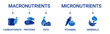 © Arif - Nutrients icon set containing micronutrients and macronutrients types vector icons
