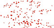 © FlatFloatCreation - Red rose petals sway in the wind. Isolated on alpha background. 3D rendering.