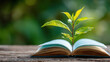 © Best - Measure value not in possessions but in lessons learned, new skills gained, and personal evolution inspired by experience.