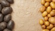 © The 2R Artificiality - Vintage textured paper backdrop featuring small dark potatoes, classic potato varieties, pattern and texture elements, food theme, retro and grunge style, healthy concept