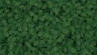 © AkuAku - Dense evergreen fir branch pattern with vibrant green needles, offering a rich natural texture ideal for nature-inspired backgrounds.