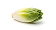 © MOHAMMADFARHAD - A single head of romaine lettuce isolated on white background