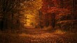 © AkuAku - Autumn-colored forest with a leaf-covered path, showcasing seasonal change