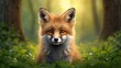 © AkuAku - Adorable fox displaying a playful expression in the wild, embodying the theme of wildlife awareness