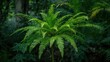 © NFTNexus - Fern tree leaves in vibrant green hues, promoting a sense of tropical freshness