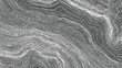 © Towhidul - Abstract grayscale topographic lines pattern with organic curves and textured details background
