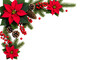© SamTiara - Festive Poinsettia and Pine Cone Corner Border for Holiday Greetings and Decorations