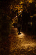 © Anat art - Evening Stroll on a Leafy Path Under Streetlights in a Tranquil Park