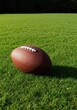 © Katherina - A brown leather rugby ball rests peacefully on lush, finely cut green grass under bright natural sunlight, awaiting the next kickoff ,green ,nobody ,close-up