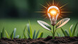 © Art_spiral - Glowing lightbulb sprouts from a young plant in rich soil startup seed idea growth renewable energy sustainability and innovation theme with fresh green leaves