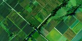 Vista aérea de una zona agrícola verde con un patrón geométrico de cultivos. Agricultura ecológica. Fotografía con dron.