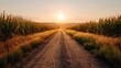 © backup_studio - Rural dirt road through corn fields at sunset. Agricultural landscape with warm light, conveying a sense of journey and agriculture.