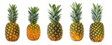 Five whole pineapples in a row presenting fresh, healthy, tropical fruit, ripe and ready for eating on transparent background