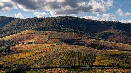  Paysage du vignoble du Beaujolais dans le département du Rhône à l'automne autour du Mont Brouilly