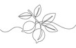 © shrabon2005 - Lemon fruit continuous one line drawing.