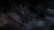 © nameera_hasan - sparkling dew covered spider web