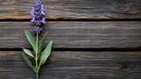 A close-up of a lavender sprig against a textured, dark brown wooden surface