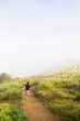© Cavan Images - Man jogging uphill through foggy wildflower trail in spring