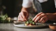 © CYBERPINK - Chef's hands preparing a dish on a white plate. the chef is wearing a black apron and is holding a small amount of green leafy vegetables in their hands.