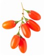 © Artbi - Fresh goji berries (wolfberries), bright orange-red and oblong, isolated on pure white background.