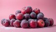 © Vadym - A pile of frosted plums and red apples on a pink background. Cold purple fruit covered with snow or sugar. Fresh sweet winter harvest for healthy dessert.