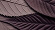 © sweet.love.com - Detailed macro photograph of dark purple and brown overlapping leaves texture background