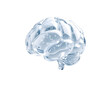 © AKIB - Transparent ice brain sculpture isolated on transparent background