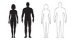 © Yanka - human body man and woman silhouette, male and female figure. vector monochrome isolated person outline standing full height. Outline and black people anatomy representation