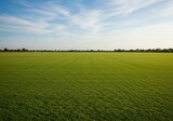 A lush green polo field stretching toward the horizon under bright sunshine, perfect for showcasing equestrian sport and competitive action, wide, athletic, summer
