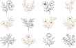 © Best Design_Academy - Elegant Floral Line Art Vector Set – Minimalist Botanical Drawings in Gold, Black, and Editable Colors on White Background