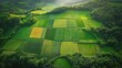 © Tatyana - Aerial view of patchwork farmland with lush green fields and forests surrounding the cultivated plots under soft sunlight