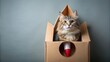 © Dounghathai - A fluffy feline adventurer sits inside a whimsical cardboard rocket, ready for interstellar exploration and feline-tastic adventures.