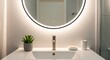 © Feb - Modern Bathroom Sink with Round Lighted Mirror and Succulent Plant
