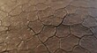 © themondunee - Cracked brown earth dry with polygonal patterns formed by deep fissures slight sheen and shallow depth of field