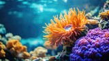 Vibrant coral reef, orange anemone