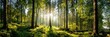 © Ferdi - Sunlight streams through tall trees in a lush, vibrant green forest scene
