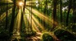© Ali Art - Golden sunbeams pierce lush green forest canopy creating a magical ethereal light spectacle