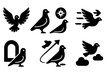 © Sergey - Homing Pigeon Journey. Solid style icons of Homing Pigeon: Outstretched Wings, Leg Tag, Compass Symbol, Flight Arrows, Loft Door,