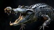 © adnan - Close up of a crocodile with its mouth open showing its sharp teeth on a dark background