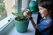 © Westend61 - Child watering houseplant with flower by window indoors smiling