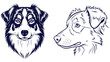 © VectorVibe - Australian Shepherd Front And Side Head Views, Black And White Outline Portrait Vector For Herding Breed Guides