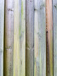 © Sarah Foto - Weathered Wooden Fence Panels