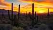 © XDD - saguaro. Arizona desert landscape at golden hour with saguaro cacti and dramatic sunset, inspiring travel planning, travel magazines, designed for outdoor magazines and nature guides.