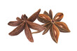 © Masha_tolk_art - Two brown Star Anise pods watercolor illustration on isolated background. Badian seeds with delicate spicy aroma. Cooking ingredient for menu decor, spice shops design, Christmas and New Year drinks.