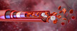 © Corona Borealis - Red blood cells and leukocytes moving through an artery cross section. Human cardiovascular system medical scientific 3D. Healthcare, hematology science, biology, blood vessel anatomy, biotechnology